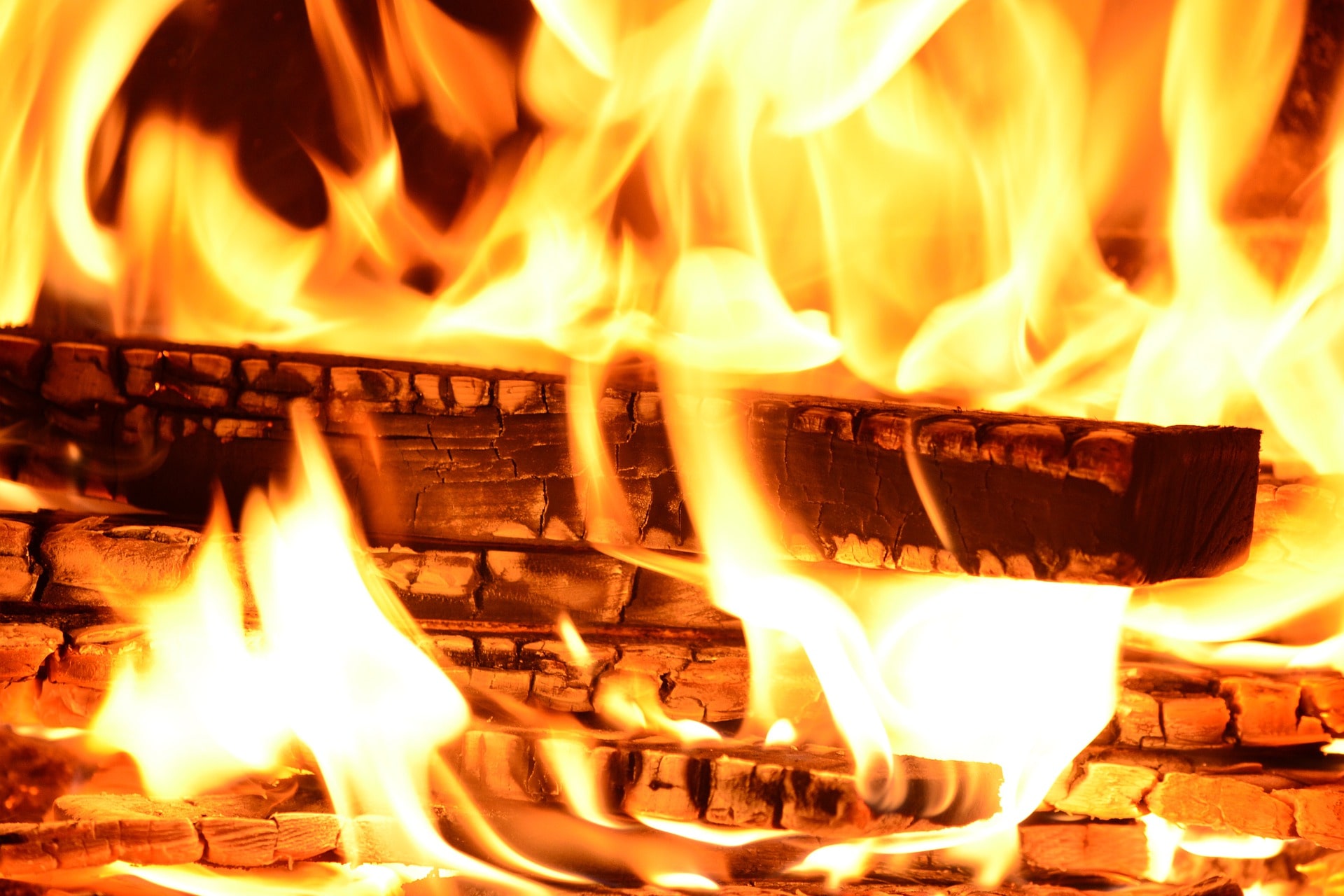 Hardwood logs | Bonfire