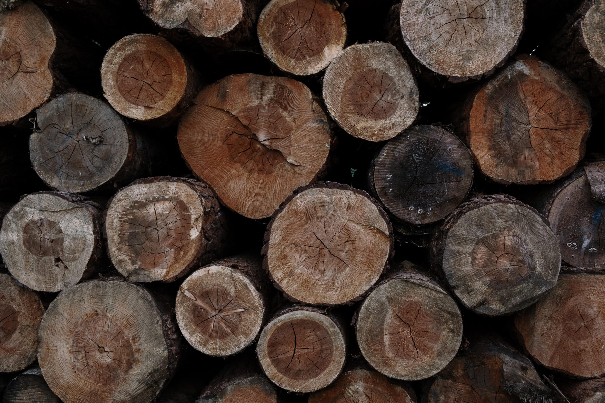 Buy firewood | County Logs and Coal