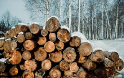 How to effectively store your winter firewood outside during the colder months