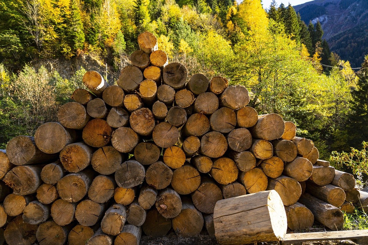 Logs For Sale | Sustainable Log Pile