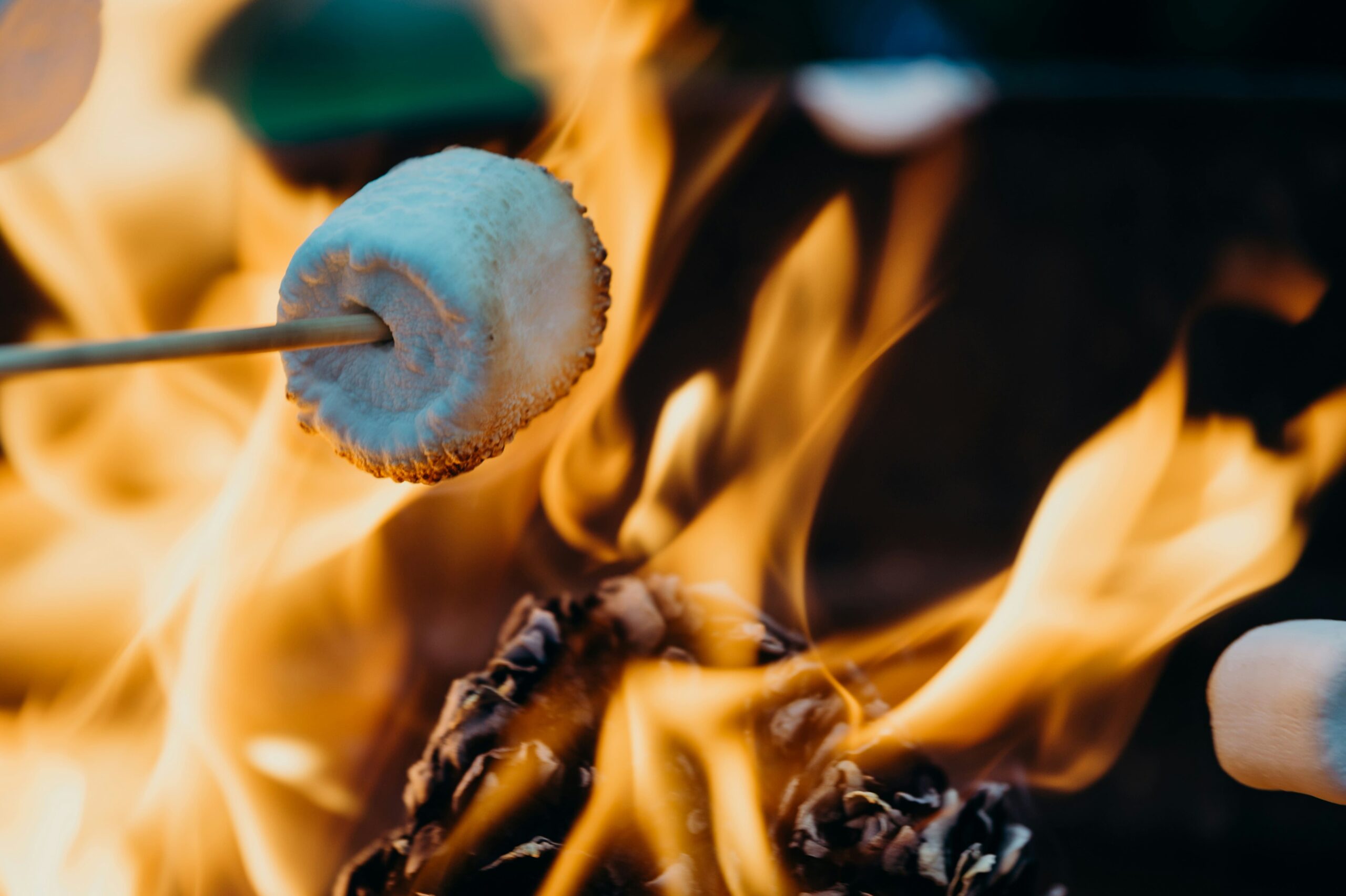 Kiln dried Hardwood logs | Marshmallows around Campfire 
