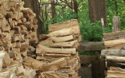 Can kiln-dried logs be environmentally friendly and why are they better than air-dried logs?