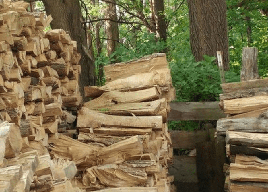 Can kiln-dried logs be environmentally friendly and why are they better than air-dried logs?