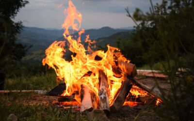 The Best Firewood for Bonfire Night: Replenish, Replace, Relax