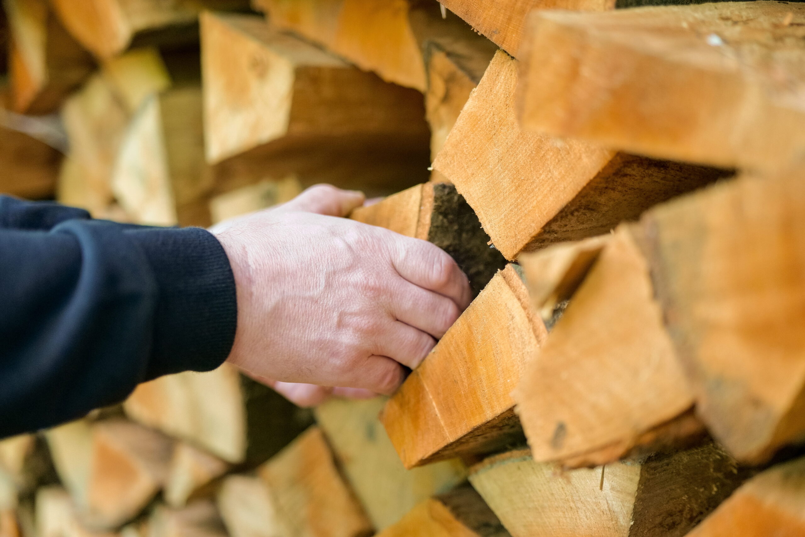 What makes good firewood? Close up on man choosing firewood.
