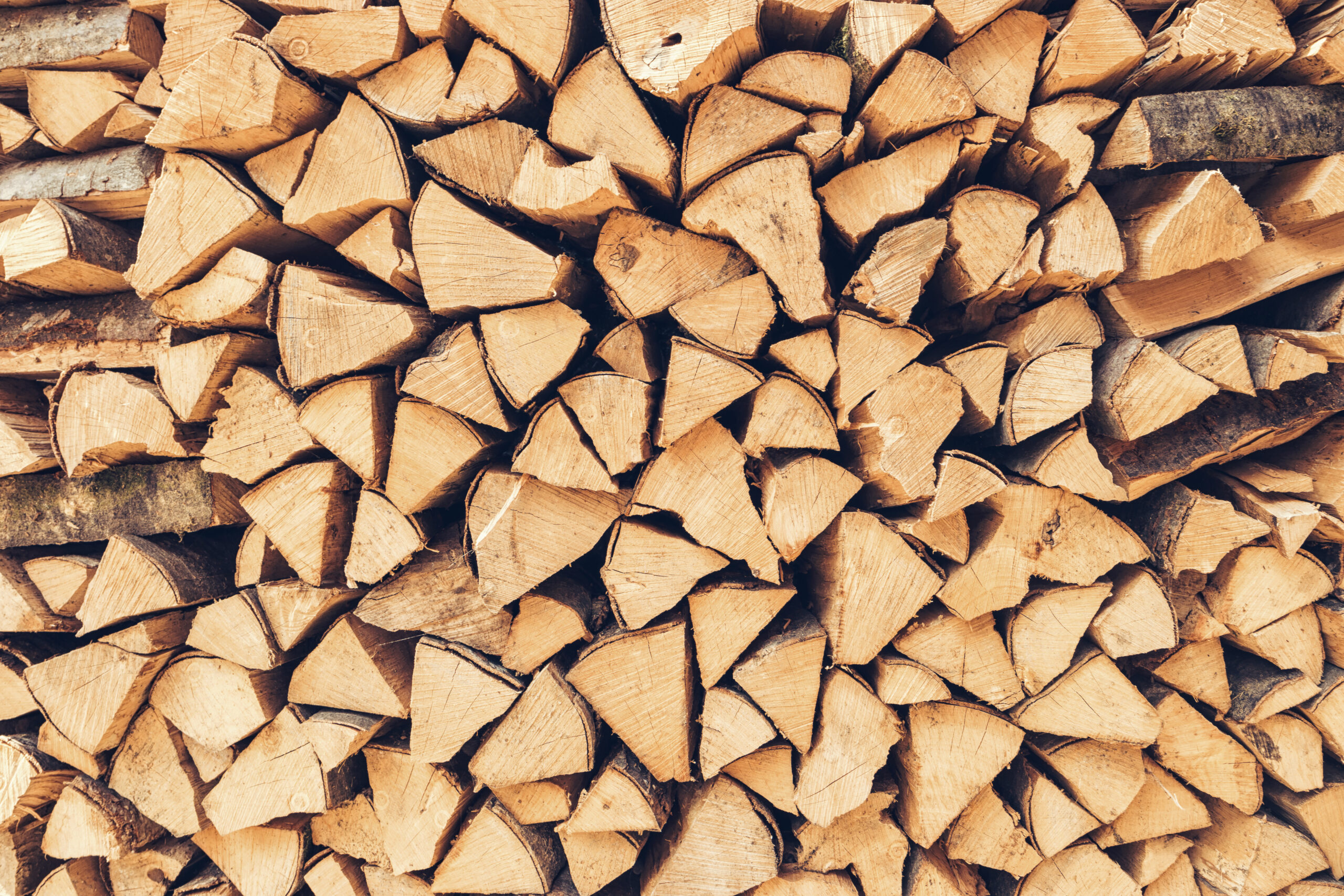 How to store firewood outside with huge pile of logs