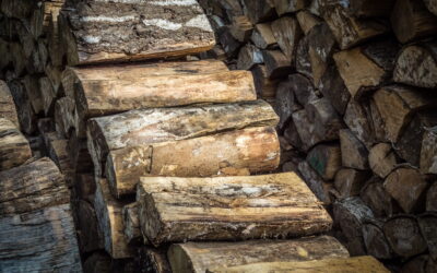 How to Store Firewood Outside: A Practical UK Guide